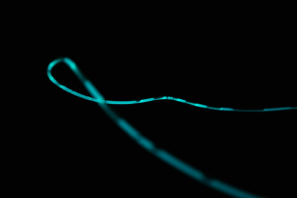 © Romain Charrier - Luciférine - Thomas Laigle-1-10