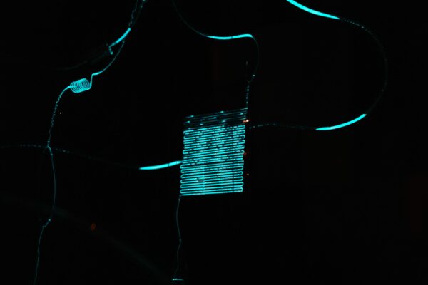 © Romain Charrier - Luciférine - Thomas Laigle-1-17