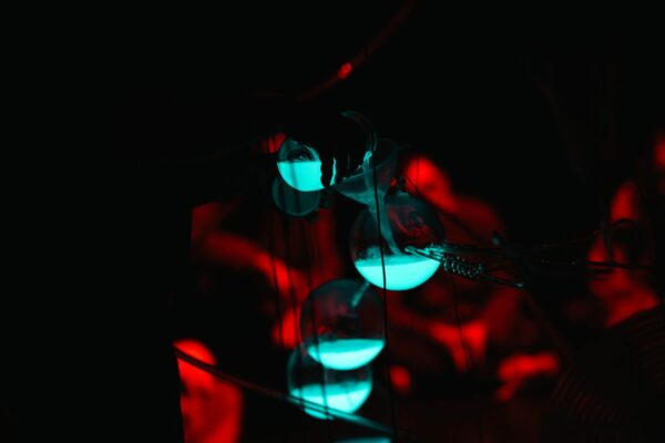 © Romain Charrier - Luciférine - Thomas Laigle-1-2