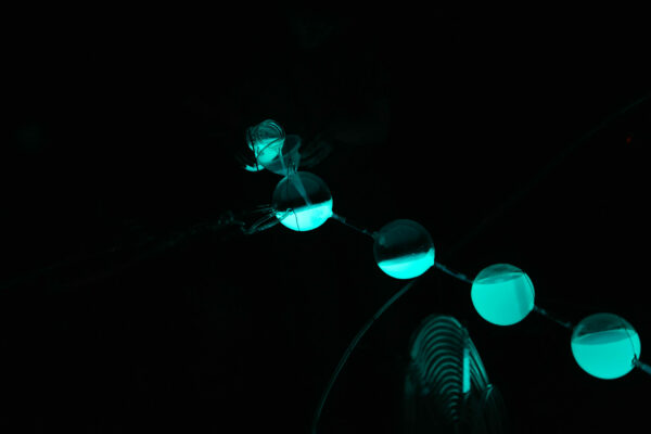 © Romain Charrier - Luciférine - Thomas Laigle-1-3